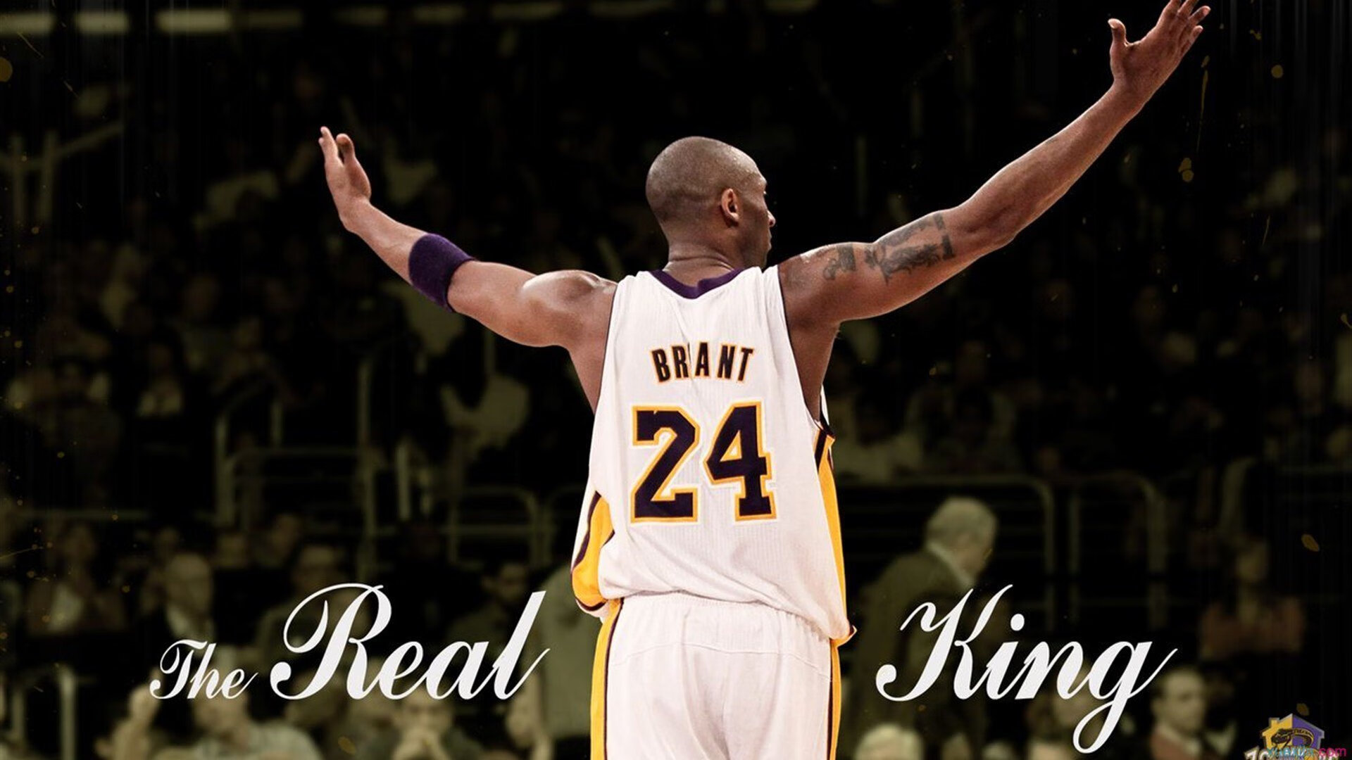 云端溜索体验：悬挂在天空的惊险快感